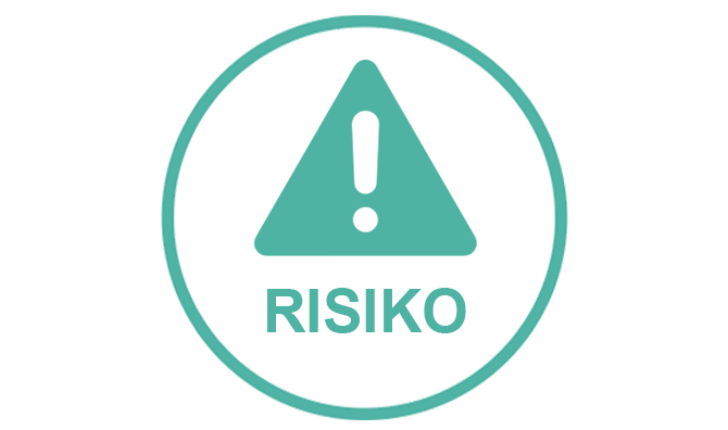 icon-risiko