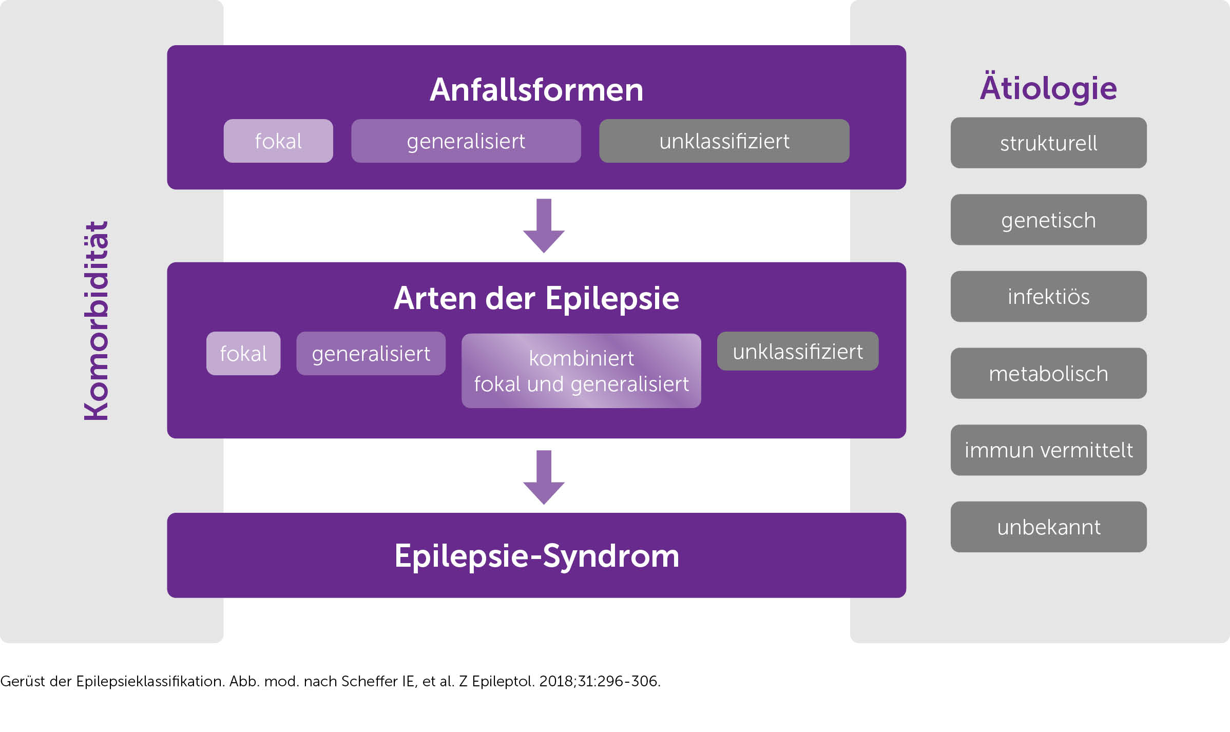 Darstellung der Klassifizierung von Epilepsie über drei Stufen