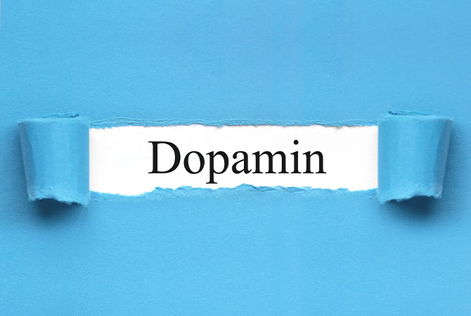 nervenbotenstoff-dopamin